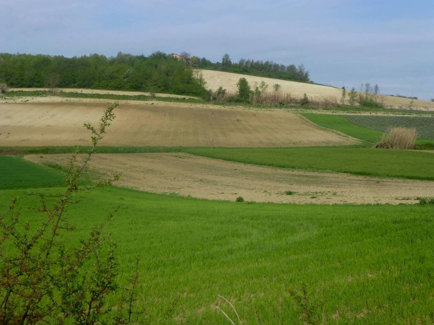 Rustico Villadeati - foto 2