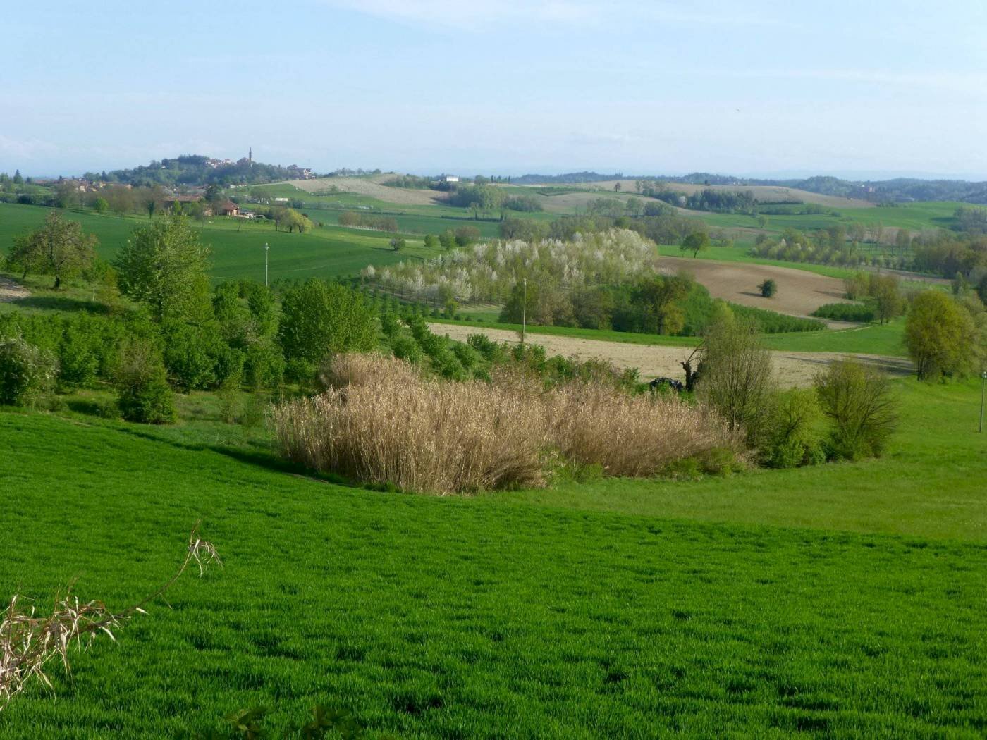 Rustico Villadeati - foto 3