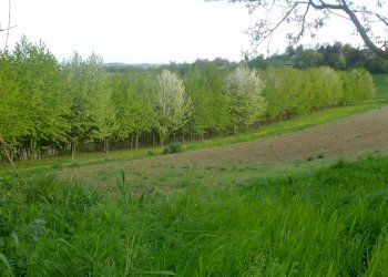 Rustico Villadeati - foto 6