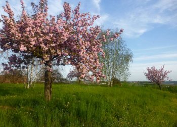 Rustico Villadeati - foto 7