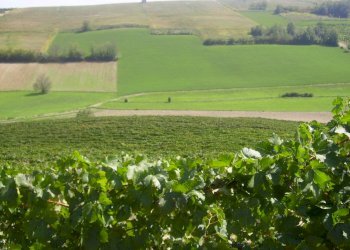 Rustic Grana Monferrato - photo 9