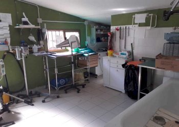 retro.jpg - Commercial Premises Sarzana - photo 8