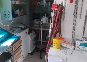 retro mag.jpg - Commercial Premises Sarzana - photo 14