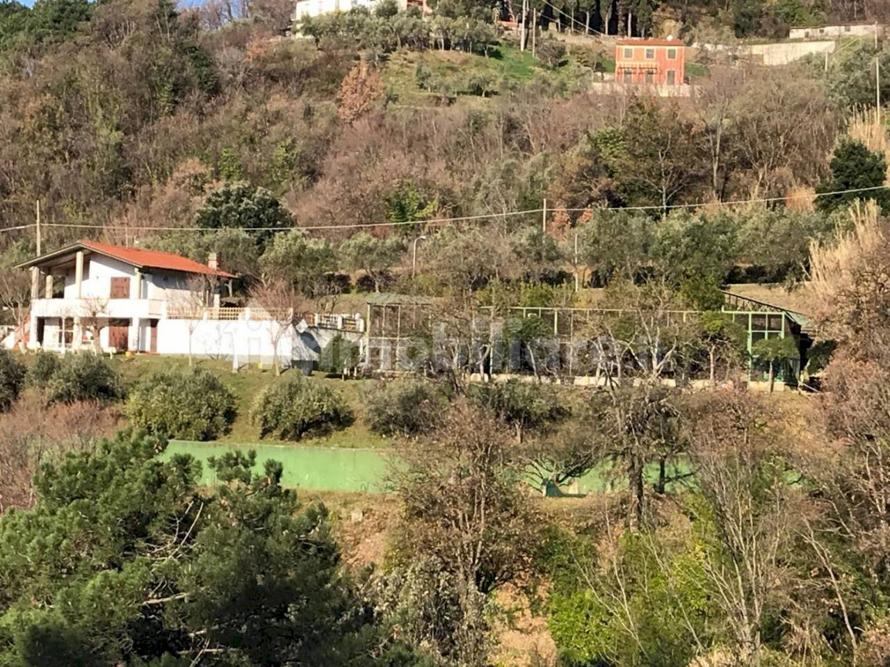 sponcichetti.jpg - Villa Sarzana - foto 2