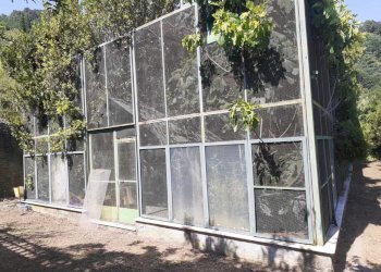 voliera 2.jpg - Villa Sarzana - foto 27