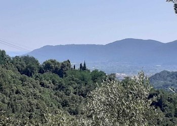 panorama.jpg - Villa Sarzana - foto 29