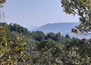 vista mare.jpg - Villa Sarzana - foto 30