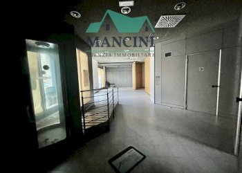 Commercial Activity vittoria, Jesi - photo 11