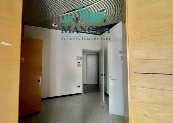 Commercial Activity vittoria, Jesi - photo 20