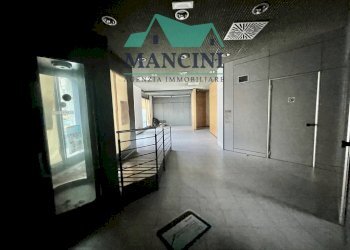 Commercial Activity vittoria, Jesi - photo 21