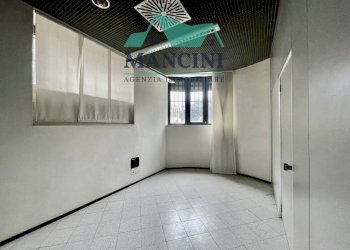 Commercial Activity vittoria, Jesi - photo 22