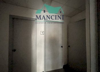 Commercial Activity vittoria, Jesi - photo 25