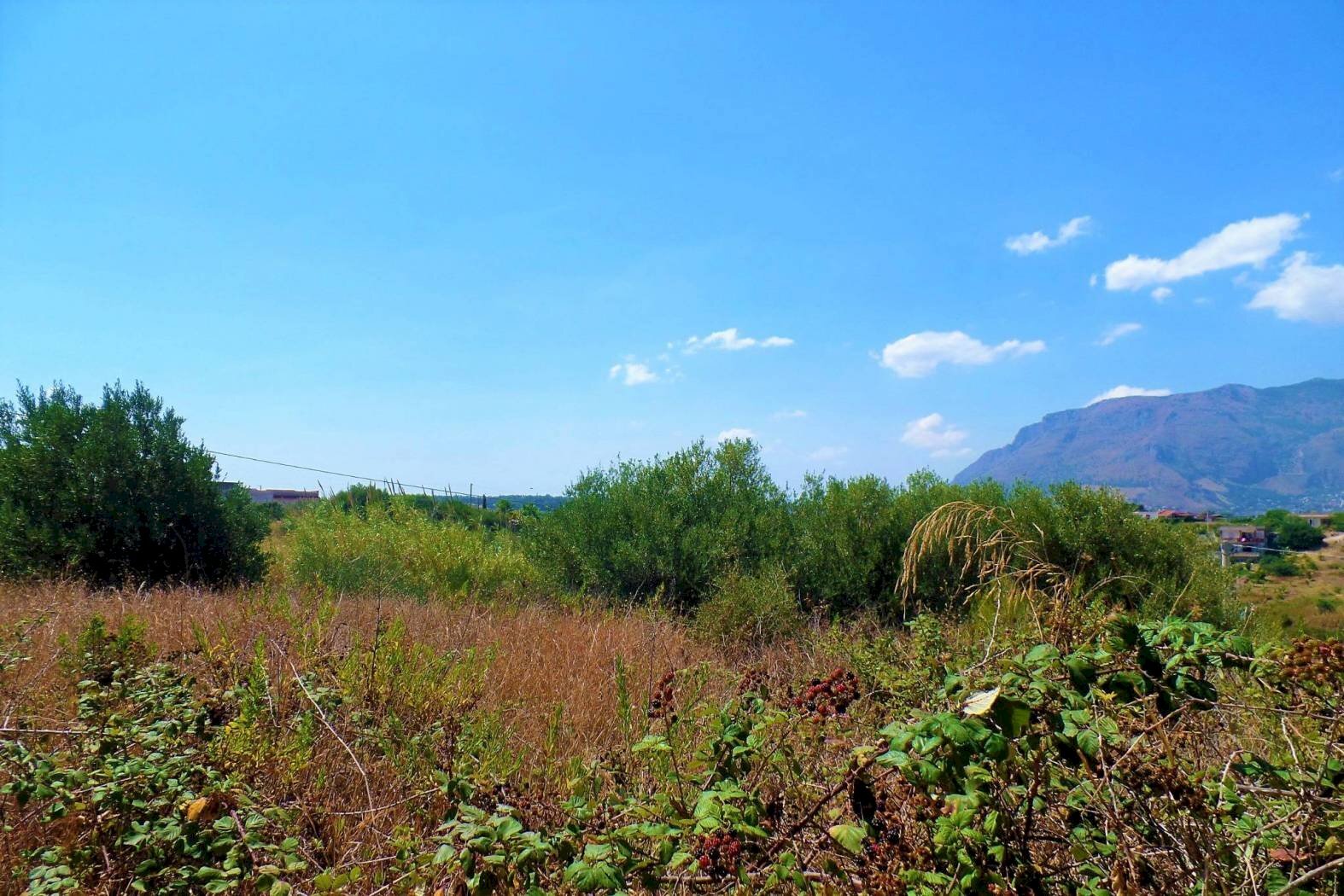 rgfbzf - Agricultural land via dei Ciclamini, Alcamo - photo 1