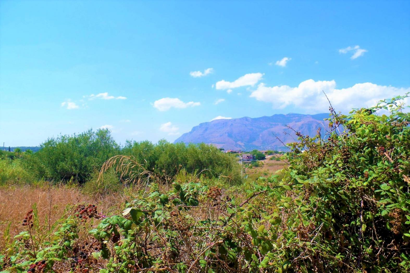 hbb - Agricultural land via dei Ciclamini, Alcamo - photo 2
