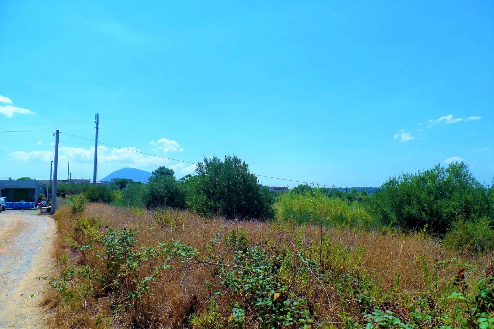 gnhzghh - Agricultural land via dei Ciclamini, Alcamo - photo 3