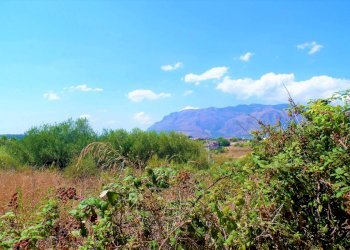hbb - Agricultural land via dei Ciclamini, Alcamo - photo 2