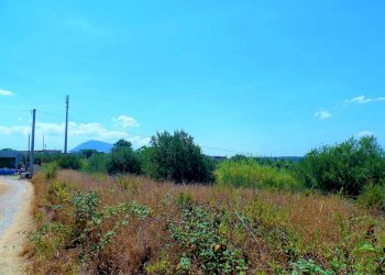 gnhzghh - Agricultural land via dei Ciclamini, Alcamo - photo 3