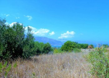 fghghgh - Agricultural land via dei Ciclamini, Alcamo - photo 5