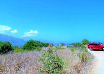 hhtshh - Agricultural land via dei Ciclamini, Alcamo - photo 6