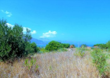 hhhhh - Agricultural land via dei Ciclamini, Alcamo - photo 9