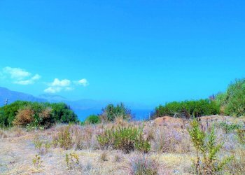 jjjjjjs - Agricultural land via dei Ciclamini, Alcamo - photo 14