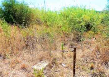 jdjdjjdj - Agricultural land via dei Ciclamini, Alcamo - photo 16