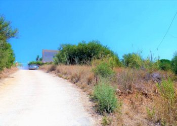 yjjdjjjj - Agricultural land via dei Ciclamini, Alcamo - photo 17