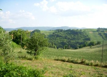 Terreno - Rustic Montefelcino - photo 29