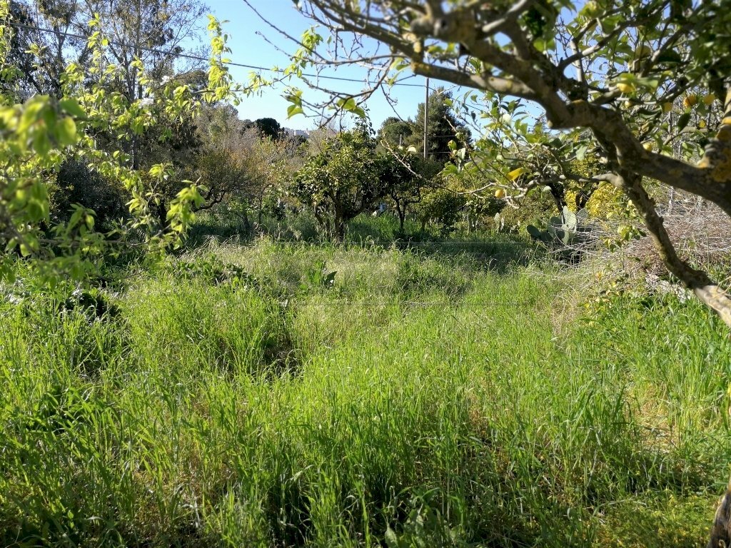 IMG_20180406_171509 (1024x768).jpg - Casale c/da niscima-grotticelle, Caltanissetta - photo 2