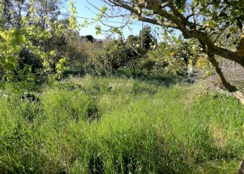 IMG_20180406_171509 (1024x768).jpg - Casale c/da niscima-grotticelle, Caltanissetta - foto 2