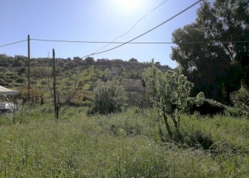 IMG_20180406_171521 (1024x768).jpg - Casale c/da niscima-grotticelle, Caltanissetta - foto 4