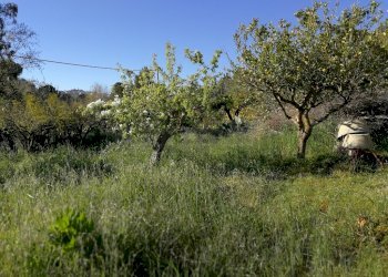 IMG_20180406_171544 (1024x768).jpg - Casale c/da niscima-grotticelle, Caltanissetta - foto 5