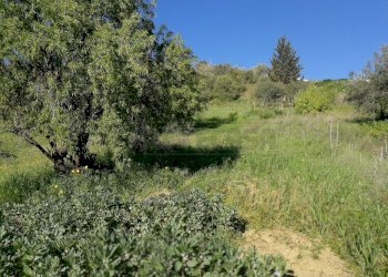 IMG_20180406_174148 (1024x768).jpg - Casale c/da niscima-grotticelle, Caltanissetta - foto 8