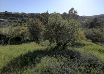 IMG_20180406_174247 (1024x768).jpg - Casale c/da niscima-grotticelle, Caltanissetta - foto 11