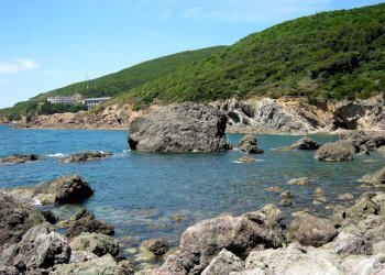 c1f4e9af_original.jpg - Villa Livorno - foto 2