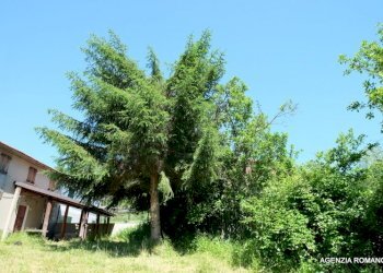 Rif 1000 (4).JPG - Casa semi indipendente Pareto - foto 10