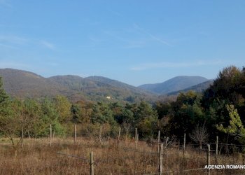 04-IMG_3043.JPG - Casale Via Montenotte 5, Pontinvrea - foto 4