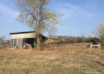 15-Rif 746 (19).JPG - Porzione di casa Pareto - foto 3