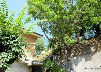 04-Rif 511 (21).JPG - Appartamento Sassello - foto 8