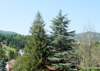 12-Rif 511 (13).JPG - Appartamento Sassello - foto 16