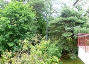 Rif 565 7.JPG - Appartamento Urbe - foto 7