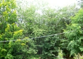 Rif 565 8.JPG - Appartamento Urbe - foto 8