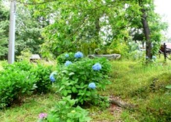 Rif 565 17.JPG - Appartamento Urbe - foto 17