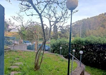 WhatsApp Image 2024-04-06 at 18.41.19.jpg - Appartamento Ameglia - foto 26