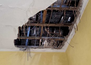 WhatsApp Image 2024-08-07 at 12.45.51(2).jpeg - Terratetto - Terracielo Ameglia - foto 21