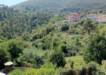 WhatsApp Image 2024-08-07 at 12.45.51.jpeg - Terratetto - Terracielo Ameglia - foto 23