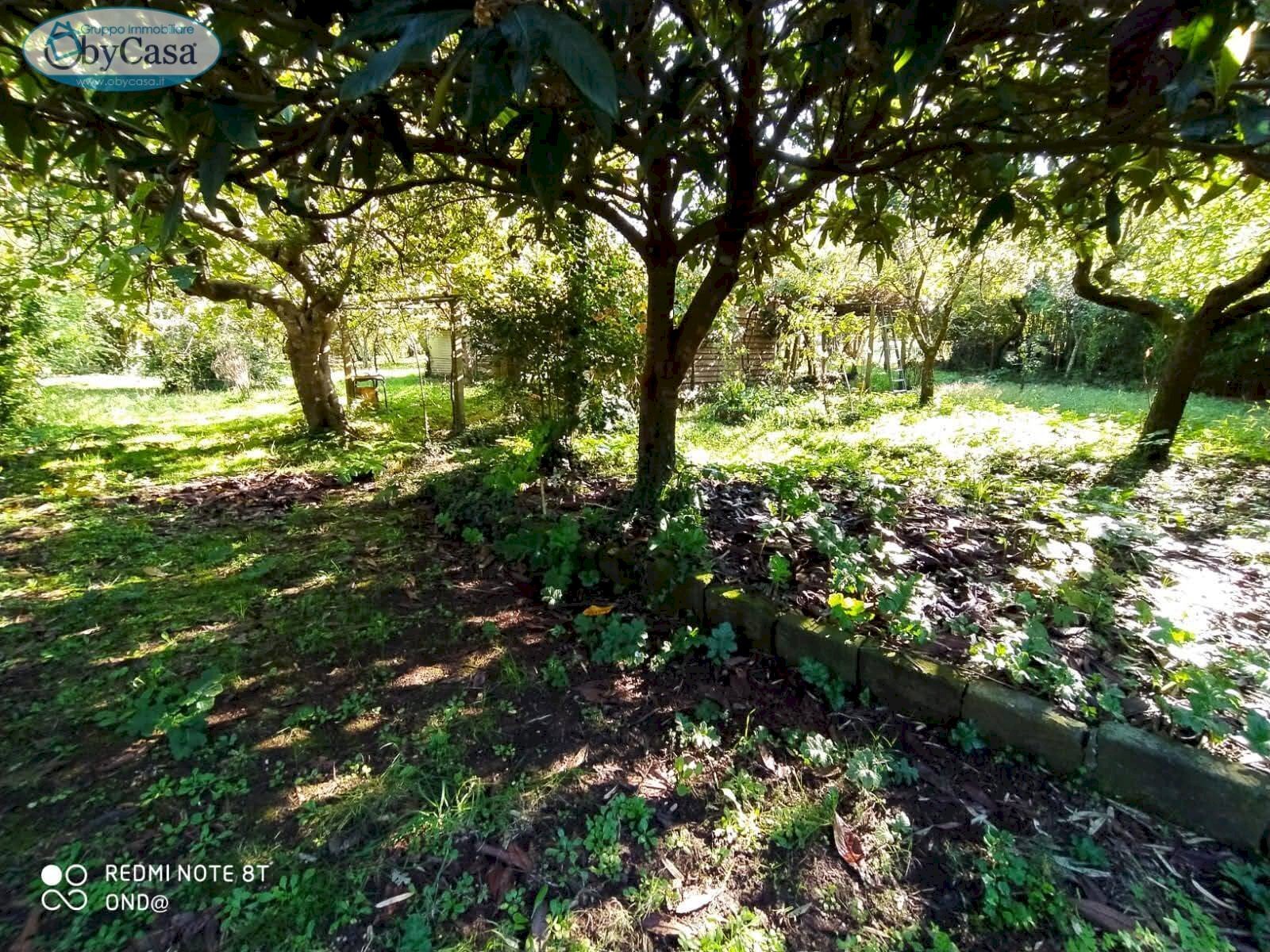 Terreno agricolo VIA DEL GINEPRO, Manziana - foto 2