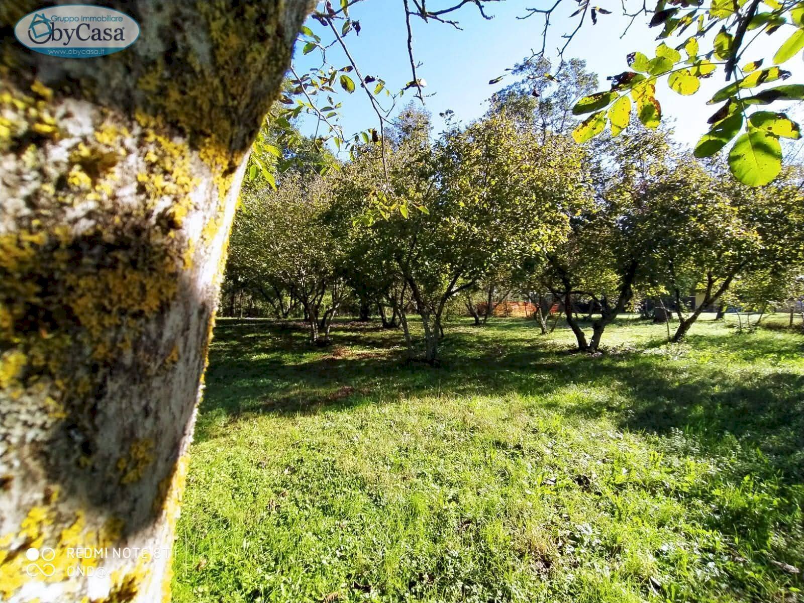 Terreno agricolo VIA DEL GINEPRO, Manziana - foto 3