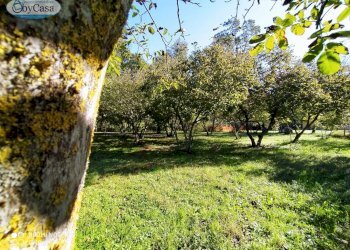Terreno agricolo VIA DEL GINEPRO, Manziana - foto 3