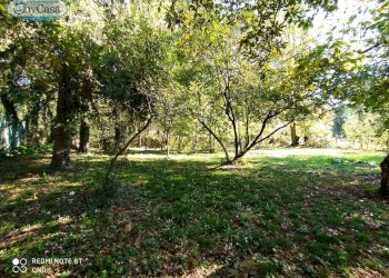 Terreno agricolo VIA DEL GINEPRO, Manziana - foto 4
